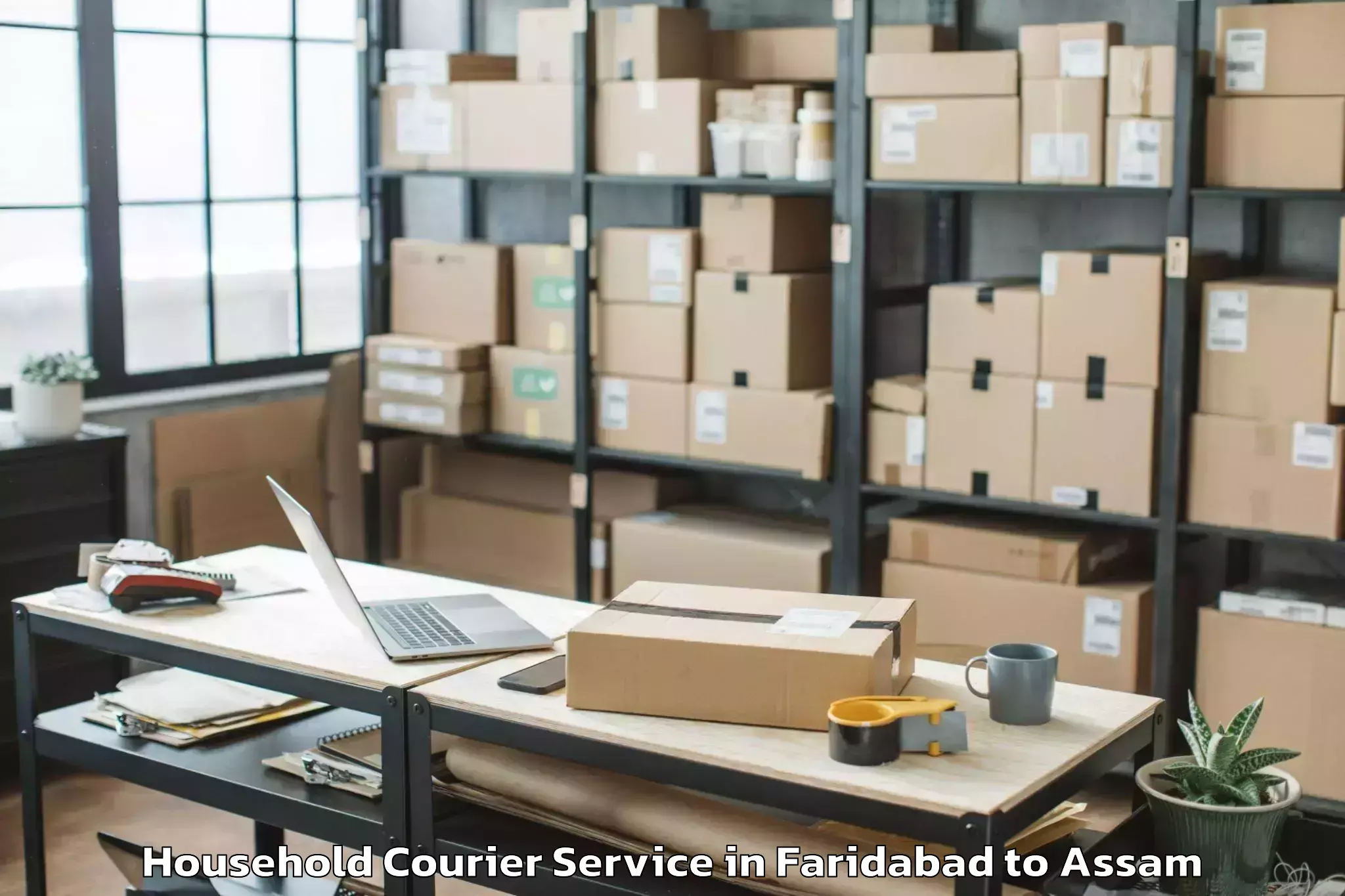 Quality Faridabad to Bogribari Household Courier